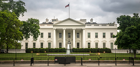 the white house