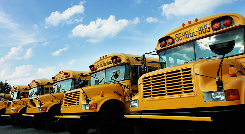 a line of yellow school buses underneath a clear blue sky