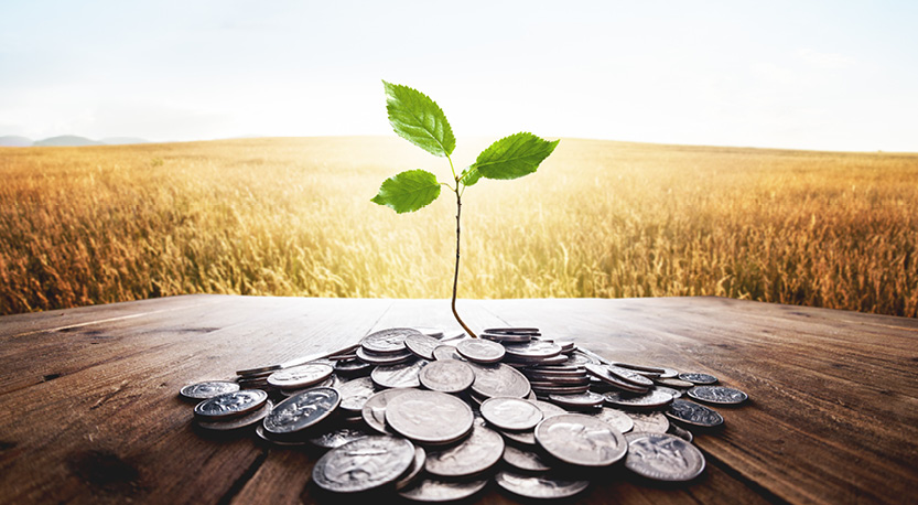 a seedling growing from a pile of coins with farmland in the background