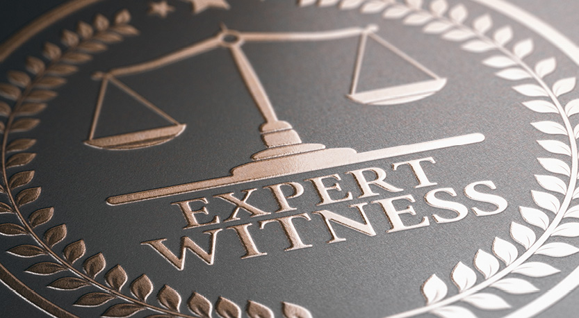 Scales and Expert Witness