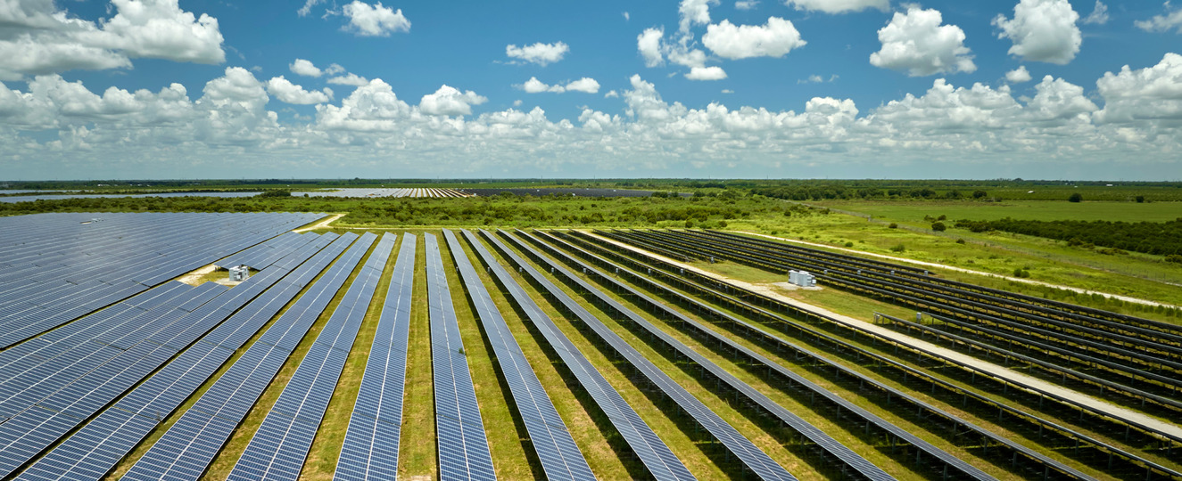 a field of solar panels