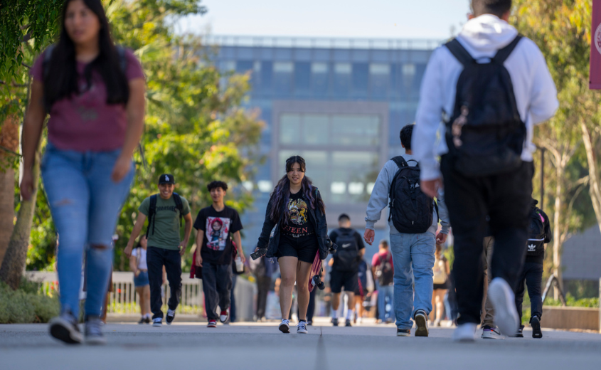 Crowd of Students on Pedestrian Lane