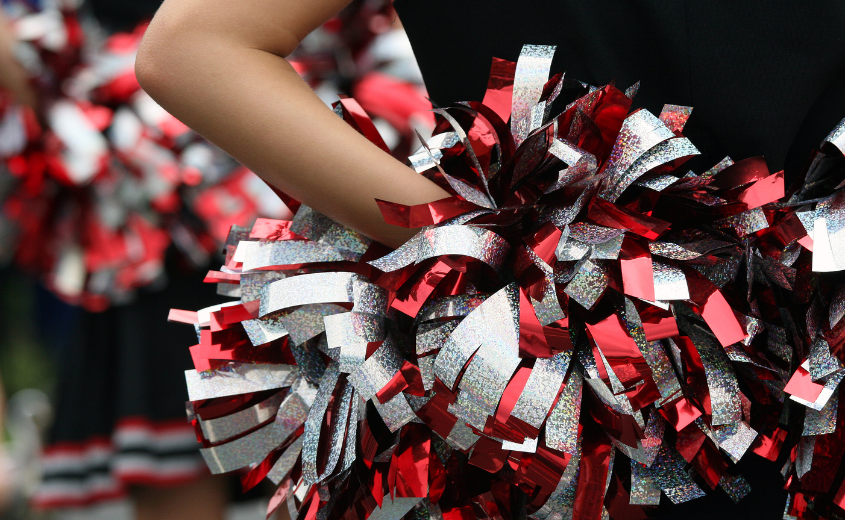 Cheerleader PomPoms