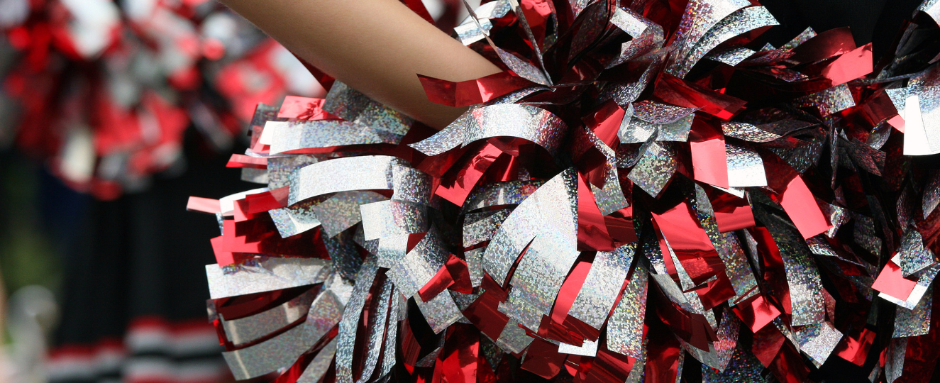 Cheerleader PomPoms